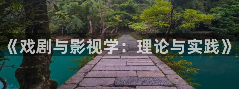 飘雪影院我不卡：《戏剧与影视学：理论与实践》