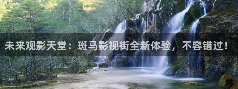飘雪影院网：未来观影天堂：斑马影视街全新体验，不容错过！