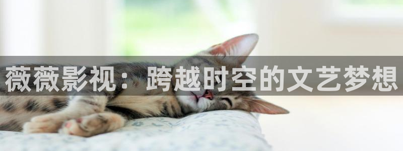 飘雪影院高清电影免费播放：薇薇影视：跨越时空的文艺梦想
