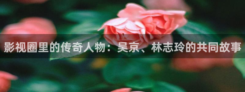 飘雪影院手机在线：影视圈里的传奇人物：吴京、林志玲的共同故事