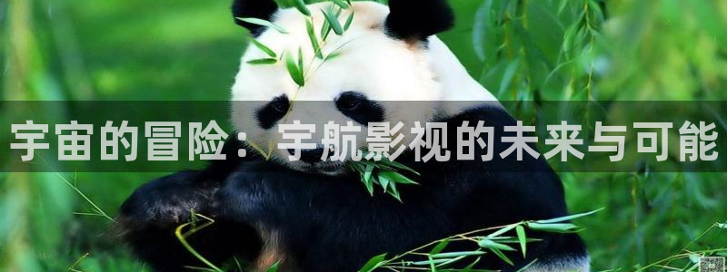 飘雪影院在线观看免费高清电影：宇宙的冒险：宇航影视的未来与可能